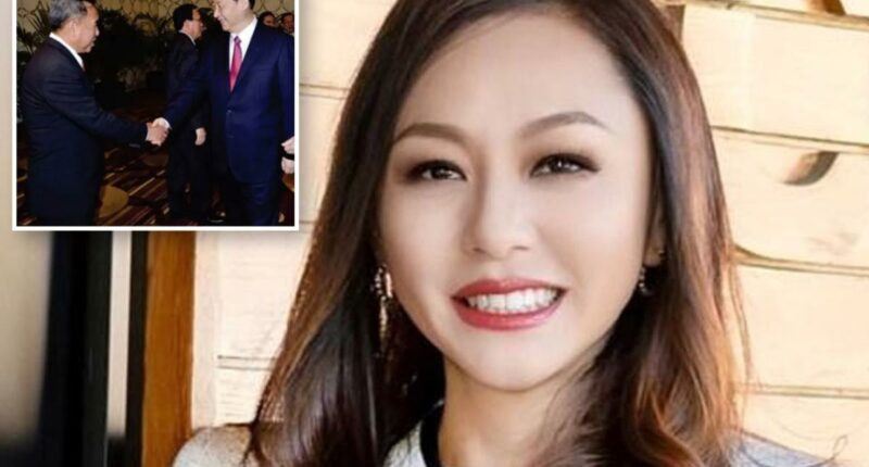 Inside Chinese agent Eileen Wangâs sprawling secret spy network